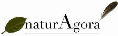 Logo du site